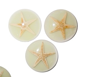 Starfish Real Specimen Plastic Cabochon Round 38x38 mm Glow Flat Bottom for Crafts and Jewelry Making - Product Image 6
