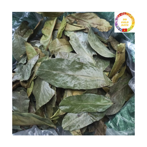 ชาเพื่อสุขภาพ |   ใบฝรั่งอบแห้ง ผู้ผลิตส่งออกจำนวนมาก เวียดนาม - Product Image 1