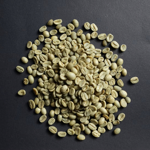 Granos de Café Verde Arábica Especial USDA, Tamaño 18, Vietnam, Grado G1/G2, Certificado ISO 22000, 0.1% de Granos Negros y Partidos, Venta al Por Mayor - Product Image 1