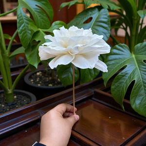 Fleur artificielle en bois Sola style rose de jardin blanche, 15 cm, grande taille, tige en fibre de plantes Sesbania - Product Image 3