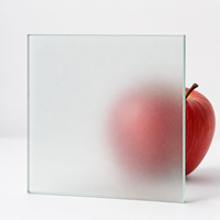 Verre trempé dépoli pour bâtiments, panneaux de 8 mm, 10 mm, 12 mm, verre trempé dépoli pour cloisons intérieures