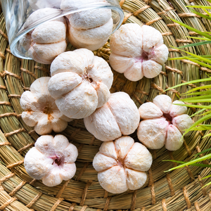 MANGOSTEEN CONGELADO IQF, EXPORTACIÓN A GRANEL, PULPA SIN SEMILLAS DE ALTA CALIDAD / Sra. Alina - Product Image 6