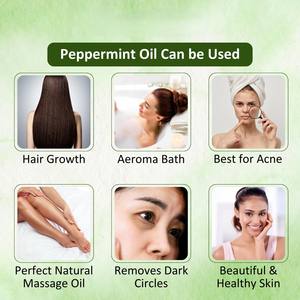 Huile de menthe poivrée OEM/ODM 100% pure naturelle de qualité thérapeutique pour la croissance des cheveux, le contrôle de la chute des cheveux, les soins du cuir chevelu et de la peau - Product Image 3