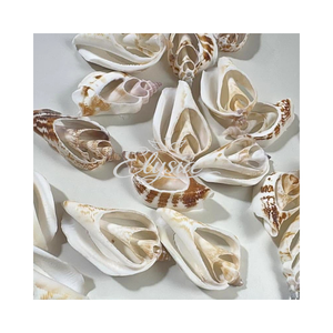 Tranches de coquillages coupées à la main, morceaux naturels de coquillages papillon, matériau artisanal DIY pour la création de fleurs, bijoux et art décoratif - Product Image 2
