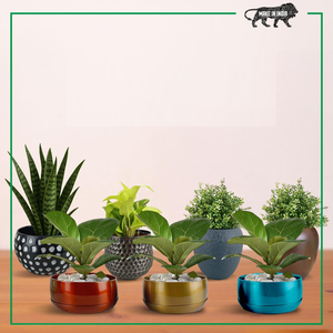 Pot de fleurs en métal pour plantes d'intérieur, pot de fleurs décoratif rond, support de plantes moderne résistant à la rouille pour la maison et le bureau - Product Image 4