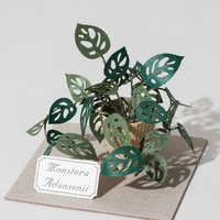 [4R] Forever Green buatan tangan Die Cutting dicetak kertas ramah lingkungan dapat disesuaikan Model miniatur furnitur dalam ruangan DIY Kit