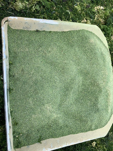 Wholesale Ulva Lactuca Dried Green Seaweed Powder with High Quality/ Ms. Lima - Product Image 6