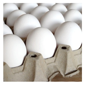 ไข่ไก่แบบสดสีน้ำตาล - Product Image 3
