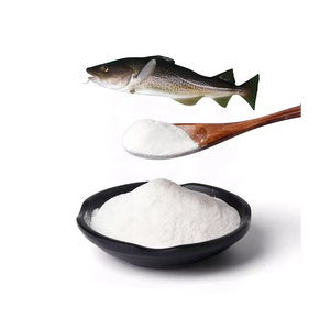Marine sourced fish collagen peptides high quality bulk supply factory direct wholesale supply - Product Image 5