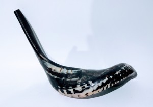 Shofar de Cuerno de Carnero Natural Pulido Ecológico al por Mayor para Venta por Curio Craft - Decoración de Bodas y Coleccionable de Arte - Product Image 3