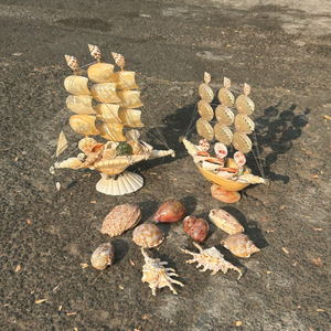 Conchas marinas mixtas de Vietnam para decoración de bodas y uso en ceremonias culturales tradicionales de 99 Gold Data - Product Image 4