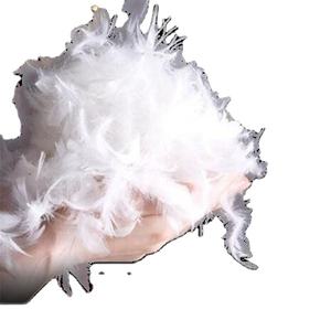 ขนเป็ดขาวคุณภาพดีจากเวียดนาม ล้างแล้ว ลายสวยงาม ราคาดีที่สุดสำหรับการส่งออก - Product Image 1