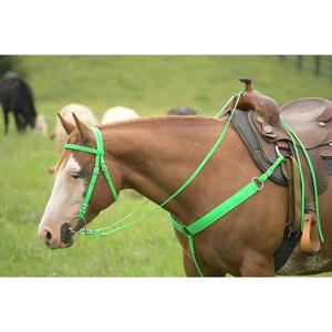Brida Ligera para Caballos de Aventura, Juego de Cabezales de Biothane Premium al Mejor Precio de Proveedor de India - Product Image 2