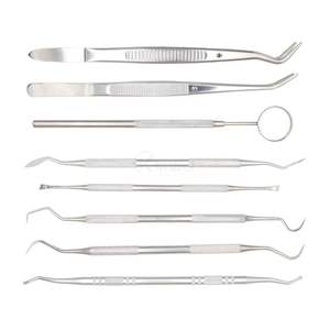 Juego de 8 Instrumentos de Diagnóstico Dental de Acero Inoxidable, Espejo, Pinzas, Sonda, Kit de Exploración para Clínica Profesional Personalizado - Product Image 2