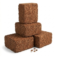 Limas de Fibra de Coco, Producto Agrícola, Chips de Turba de Coco, Color Marrón Natural, para Uso Hidropónico, Ladrillos de 30x30x12 cm