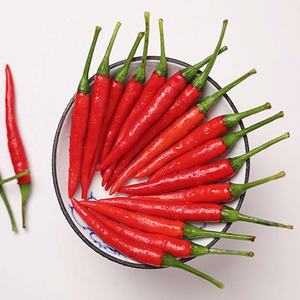 PRIX BON MARCHÉ PRIX PREMIUM QUALITÉ FROZEN RED CHILI FOURNISSEUR VIETNAMIEN - Product Image 2