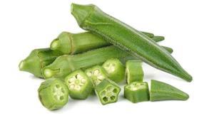 Okra vert frais – Meilleure qualité, biologique, frais, vente en gros du Vietnam // M. Tom - Product Image 5