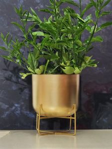 Jardinière décorative en métal plaqué laiton, finition classique, pour balcon et jardin - Product Image 3
