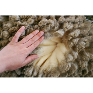 Factory wholesale Customized Thick and warm sheep <b>Wool</b> - Product Image 4