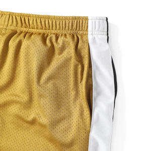 Shorts de basketball en maille polyester personnalisés avec logo, pour hommes, séchage rapide, respirants, taille mi-haute, fermeture élastique, imprimés par sublimation IRON MARK - Product Image 4