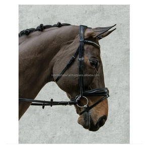 Brida para Caballo Rub International de Calidad Premium, Cómoda, de Cuero Negro con Detalles Rojos, Decoración Personalizada, Aspecto Impresionante - Product Image 2