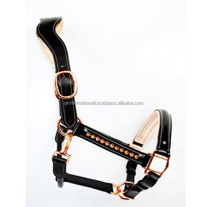 Licou personnalisé fantaisie Bling décoratif rembourré cuir cheval dans toutes les tailles personnalisées en cuir verni premium matériel or rose - Product Image 6