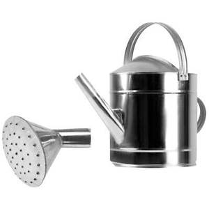 Arrosoir en métal design pour une utilisation décorative et fonctionnelle, idéal pour arroser les fleurs, les herbes et les petites plantes - Product Image 2