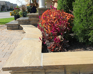 หินตกแต่งผนัง GROCON Modern Raj Green Sandstone ทนทานสำหรับงานภายนอก พร้อมผิวสัมผัสธรรมชาติ - Product Image 1
