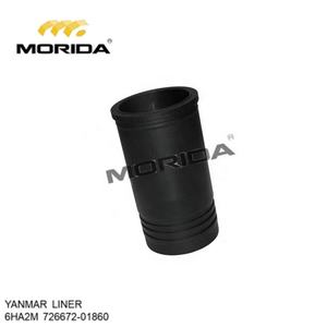 Delineador para YANMAR, 6HA2M, 72667201860 CYL - Product Image 1