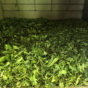 MEJOR PRECIO Hojas de Papaya Secas y Crujientes Viet Delta (Macho y Hembra) para Bebidas Herbales y Alimento para Conejos, 3kg/Bolsa, 12 Meses de Caducidad 189 - Product Image 5