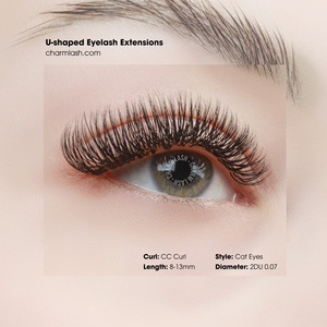 ขนตาปลอม Charmlash แบบขายส่ง 5 มิติ 6 มิติ แบบพัดสำเร็จรูป งอน CC ขนาด 0.07 มม. พัดขนตาแบบแคบ ขนตาปลอมแบบสั่งทำได้ หลายแบบ หลายงอน ทำด้วยมือ - Product Image 6