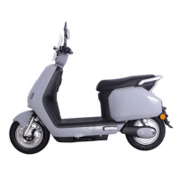 Moto électrique vintage pour trajets urbains, scooter électrique 1000W à moteur brushless et frein à disque, carrosserie courbée, pour le Brésil
