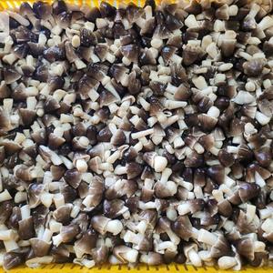 Hongos de Paja Enlatados de Vietnam – Hongos de Paja Enteros y en Rodajas en Lata - Product Image 4