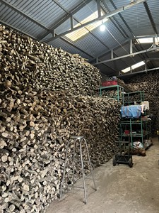 Meilleure vente Choix Eco-Friendly Coffee Wood Chew Fabriqué à partir des Hautes Terres du Vietnam Blue Lotus Ms.Cherish - Product Image 4