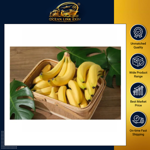 กล้วยสดเกรดพรีเมียม สำหรับขายส่ง จำหน่ายปลีก ส่งออก และตลาดค้าปลีก - Product Image 2