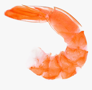 กุ้งทะเลคุณภาพสูง ปรุงสุกแช่แข็ง กุ้งปรุงสุกแช่แข็ง สดใหม่ ราคาพิเศษช่วงเทศกาล - Product Image 5