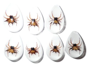 Spiny <b>Spider</b> Real Specimen <b>Plastic</b> Cabochon Pear Shape Cut Top 33x22 mm White Flat Bottom for Crafts and Jewelry Making - Product Image 5