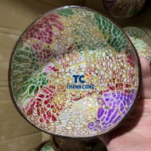 Tazón de Cáscara de Coco Pulida con Acabado Lacado, Ecológico, Vintage, Creativo, con Incrustaciones de Mosaico, Vajilla Reutilizable, al Mejor Precio - Product Image 1