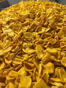Fabrication de chips de jackfruit séché croustillant de qualité supérieure / Jackfruit croustillant du Vietnam au goût sucré, jackfruit conservé en saumure - Product Image 3
