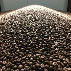 Selected Green Coffee Exporter Offering Arabica Coffee <b>Bean</b> In Dried Form With Custom Packaging For Bulk Buyer Orders - Product Image 5