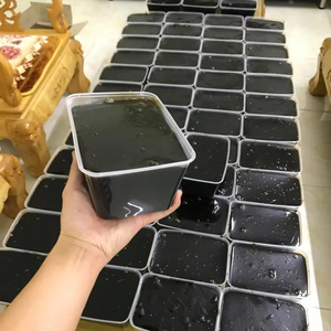 ผู้ผลิตเวียดนาม แบล็คกราสเจลลี่ ขนมหวานสมุนไพรเย็นสดชื่นจากธรรมชาติ ผู้จัดจำหน่ายขายส่ง ส่งออก - Product Image 1