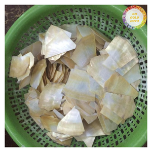 Matériau d'incrustation en nacre véritable du Vietnam, poli, forme naturelle, pour la fabrication de guitares, manches de couteaux, décoration de luxe, bijoux - Product Image 4