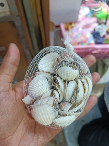 Petites coquillages naturels du même style, pack décoratif pour l'art de la résine, l'artisanat, la décoration d'aquariums et de vases - Product Image 2