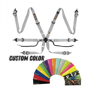 Harnais de sécurité Super Léger TBRACING Sport Plus Homologué FIA, OEM ODM, Logo Personnalisé, Vente en Gros, Verrouillage à Came en Aluminium - Product Image 1