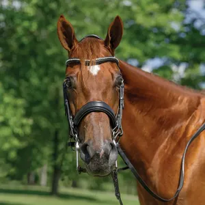 Brida de Cuero de Caballo de Alta Calidad, Brida de Cuero para Equitación, Brida de Cuero Genuino para Caballos - Product Image 1