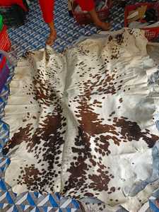 Genuine Cow Skin <b>Leather</b> Full Pelt Hair on Animal Pattern One Whole <b>Leather</b> Varsity <b>Jacket</b> 100% Polyester Filling Nylon Lining - Product Image 6