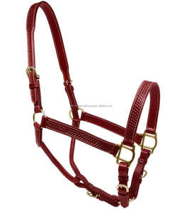 Forte double couture robuste cuir cheval licou sur mesure cheval produits de course équestre licou cheval à bas prix - Product Image 6