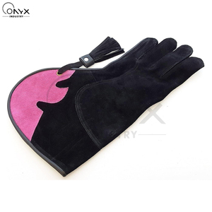 Guantes de Cuero Genuino Resistentes al Agua y Transpirables, Resistentes a los Arañazos, para Protección de Mascotas, para Aves de Presa, Gran Oferta 2026 - Product Image 2