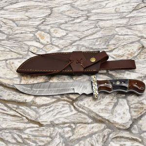 Couteaux de chasse de qualité avec lame fixe large, manche en bois riveté et étui de transport en cuir protecteur pour le camping - Product Image 1