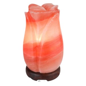 Rehaussez votre espace avec cette lampe ionisante en sel de l'Himalaya de haute qualité, de forme géométrique, faite à la main, au toucher réel, avec des bienfaits Feng Shui - Sian - Product Image 6